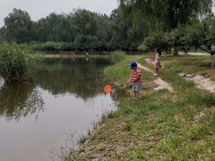 -永定河休闲森林公园