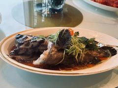 -金轩中餐厅 Jin Xuan(浦东丽思卡尔顿酒店)