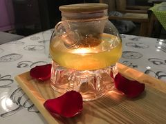 -吉丁鸟咖·异宠·寄养