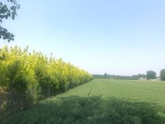 -怡泰SPA·泰疗按摩(徽宁路店)
