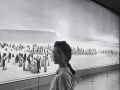 -罗红摄影艺术馆