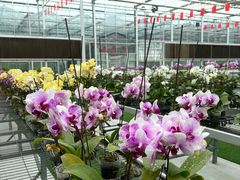 -兰陵国家农业公园