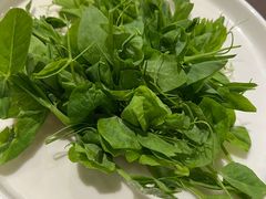 -烹然四季椰子鸡火锅(姚家园万象汇店)