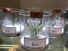 -XI·LaundryCafe 喜咖自助洗衣咖啡店