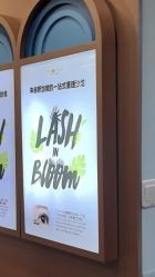 -Browhaus眉睫沙龙