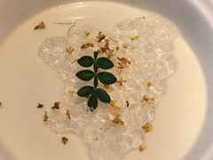 -觀芷隐轩