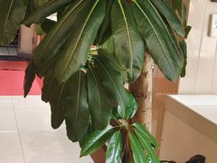 -天天渔港(杏林街店)