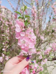 -沫儿·美甲美睫·半永久·皮肤管理