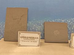 -辽宁古生物博物馆