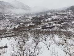 -太子岭滑雪场
