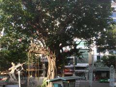 -胡志明市美术馆
