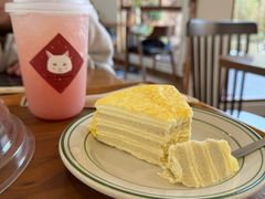 -有猫主题·治愈系猫咖(曾厝垵店)