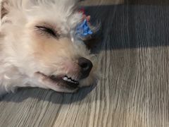 -伽利略剧本探案馆(国贸店)