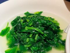 -老吉堂上海本帮菜(工体店)