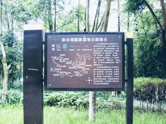 -重庆彩云湖湿地公园