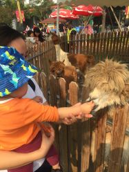 -萌宠亲子动物乐园(槐房万达店)