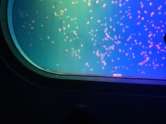 -福州罗源湾海洋世界旅游区