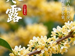 -宋宴(虎跑店)