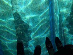 -暹罗海洋世界