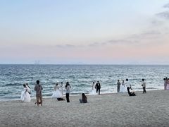 -玫瑰海岸文化旅游度假区