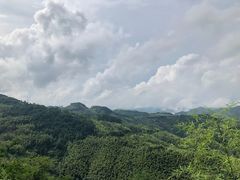 -四明山国家森林公园