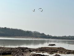 -鄱阳湖国家湿地公园