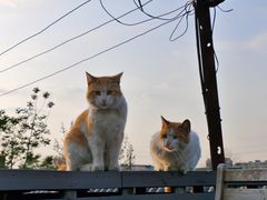 -前叁門