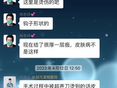 -创凡宠物医院·骨专科  猫科中心(西乡分院)