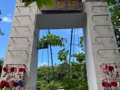 -西双版纳原始森林公园