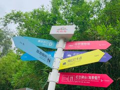 -漳州滨海火山岛自然生态风景区