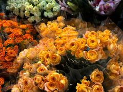 -循礼门鲜花花市(武汉循礼门店)