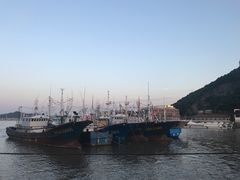 -沈家门渔港