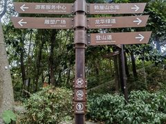 -阳台山森林公园