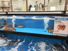 -盒马X会员店(王府井奥莱UP TOWN店)