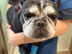 -爱派特动物医院·全科诊疗中心