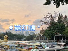 -荔枝公园(福田区)