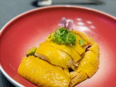 -湯記傳菜