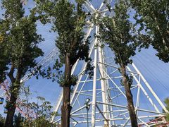 -哈尔滨文化公园