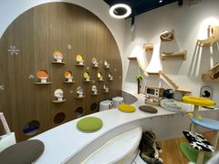 -COLOR PETS 撸猫馆·购猫·猫咖(长风大悦城店)