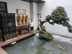 -觀芷隐轩