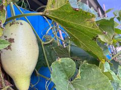 -百里峡七彩艺术小镇