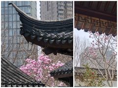 -江宁织造博物馆