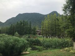 -贵阳市花溪国家城市湿地公园