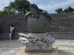 -广东惠东海龟国家级自然保护区