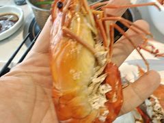 -半岛听涛蒸汽海鲜自助(K11店)