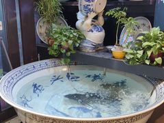 -南京金牛湖巨碗鱼头