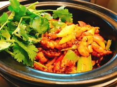 特色干锅牛蛙-常州富力喜来登酒店 Feast盛宴标帜西餐厅(新北万达广场店)