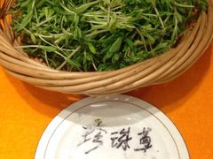 珍珠草-山东宾馆·齐鲁苑餐厅