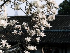 -何园