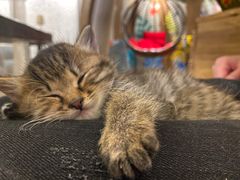 -么么咖啡(燕郊店)